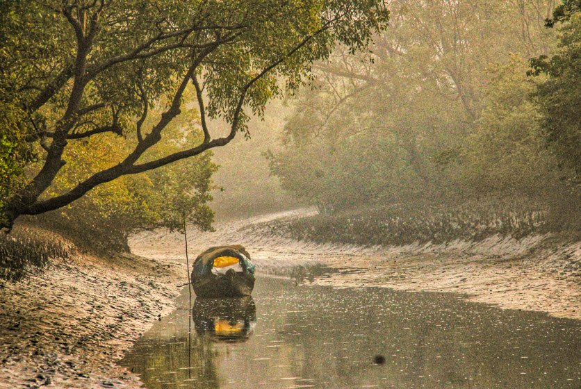 Sundarbans Mangrove Forest, Khulna & Satkhira Districts, Bangladesh